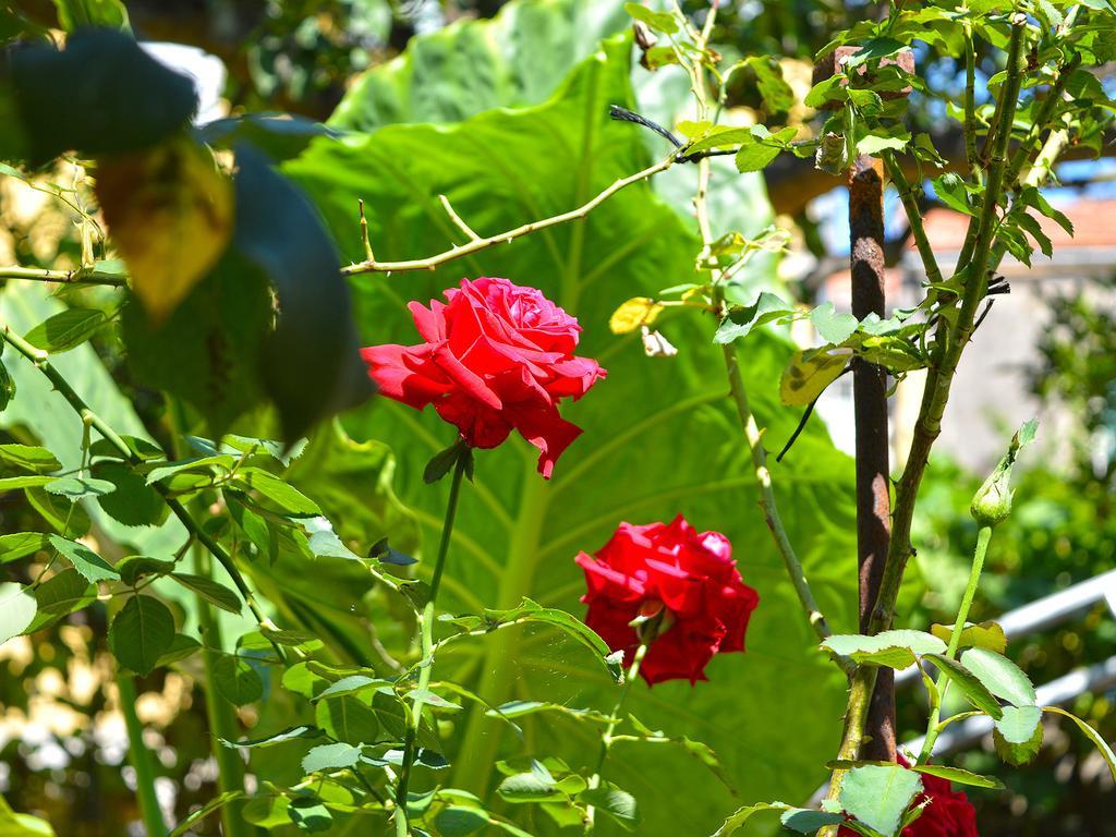 The Secret Garden Relais Otel Piano di Sorrento Dış mekan fotoğraf